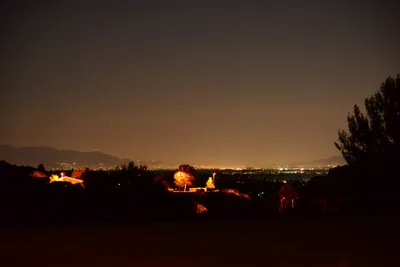 DSC_0746 (Large).JPG